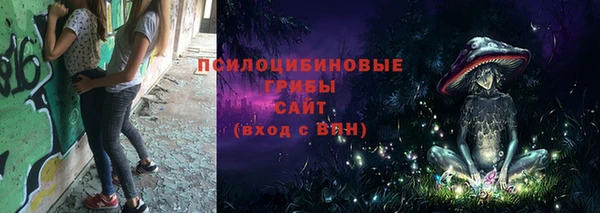 2c-b Абдулино