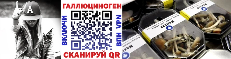 дарнет шоп  Бавлы  Псилоцибиновые грибы прущие грибы 